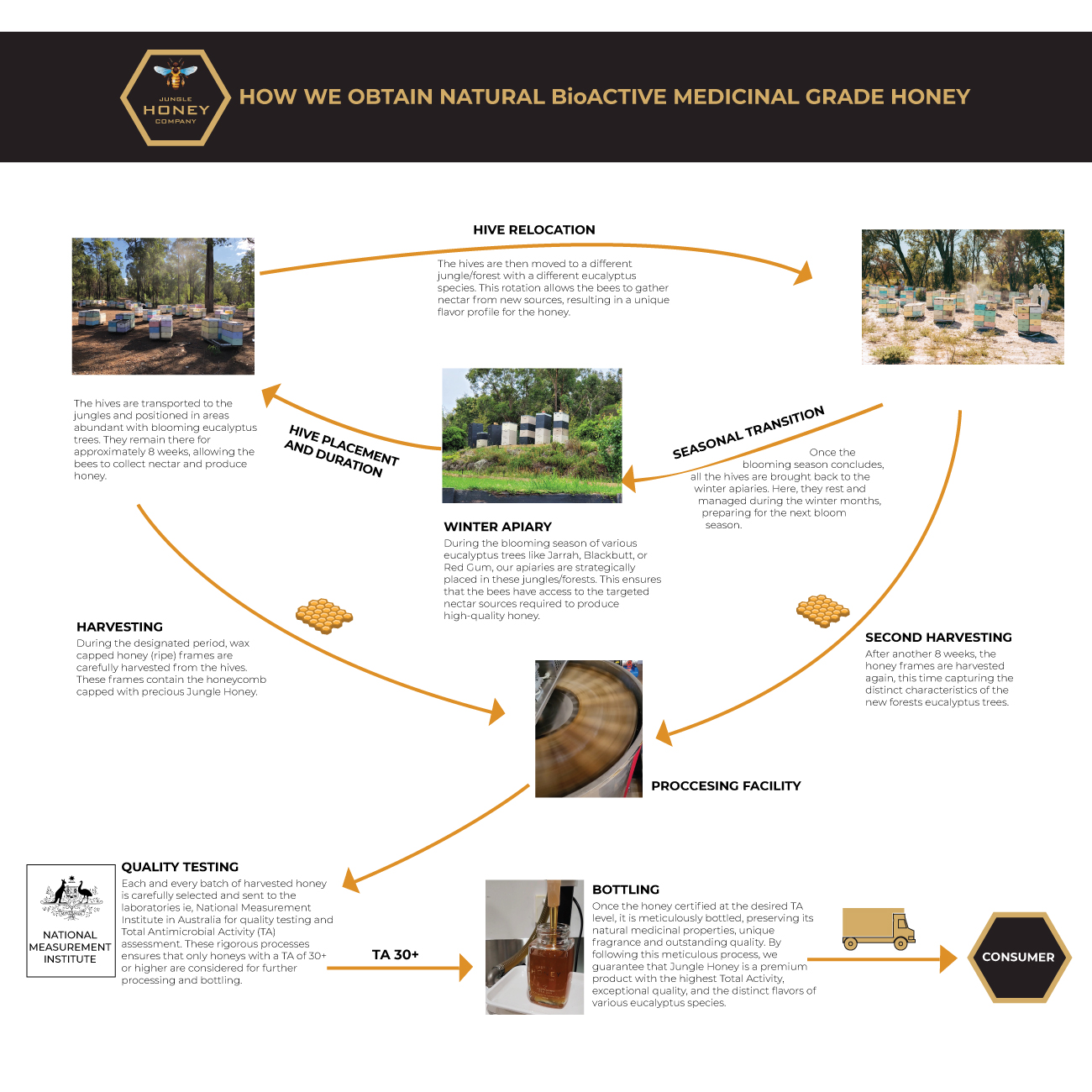 Our Honey Process